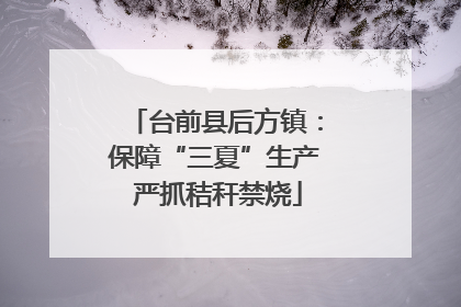 台前县后方镇：保障“三夏”生产 严抓秸秆禁烧
