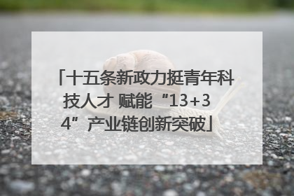 十五条新政力挺青年科技人才 赋能“13+34”产业链创新突破