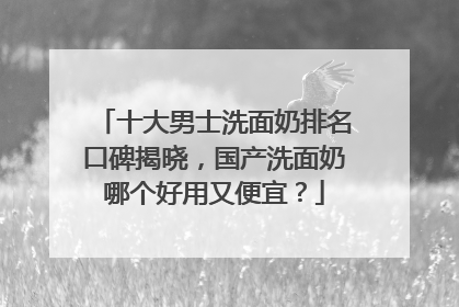 十大男士洗面奶排名口碑揭晓，国产洗面奶哪个好用又便宜？