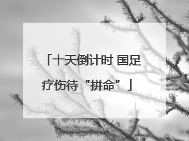 十天倒计时 国足疗伤待“拼命”
