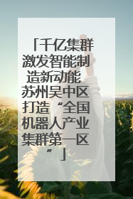 千亿集群激发智能制造新动能 苏州吴中区打造“全国机器人产业集群第一区”