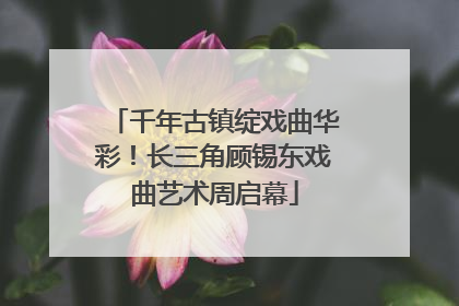 千年古镇绽戏曲华彩！长三角顾锡东戏曲艺术周启幕