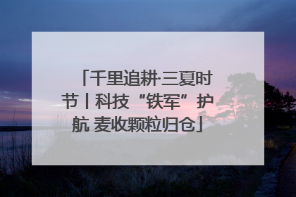 千里追耕·三夏时节丨科技“铁军”护航 麦收颗粒归仓