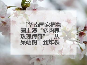 华南国家植物园上演“多肉界玫瑰传奇”，从呆萌树干到炸裂种子全是戏！