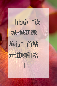 南京“读城•城建微旅行”首站走进颐和路