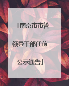 南京市市管领导干部任前公示通告