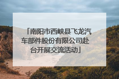 南阳市西峡县飞龙汽车部件股份有限公司赴台开展交流活动