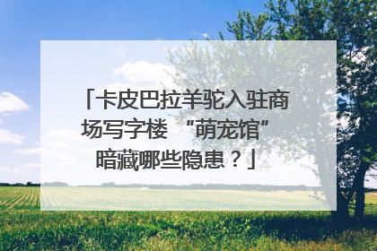 卡皮巴拉羊驼入驻商场写字楼 “萌宠馆”暗藏哪些隐患？