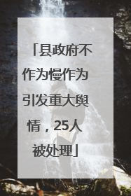 县政府不作为慢作为引发重大舆情，25人被处理