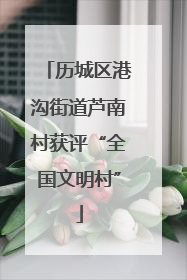 历城区港沟街道芦南村获评“全国文明村”