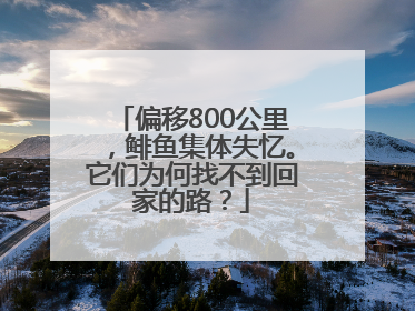 偏移800公里，鲱鱼集体失忆。它们为何找不到回家的路？