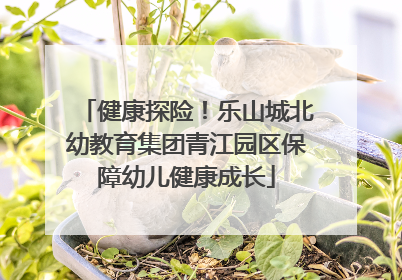 健康探险！乐山城北幼教育集团青江园区保障幼儿健康成长