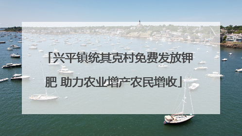 兴平镇统其克村免费发放钾肥 助力农业增产农民增收