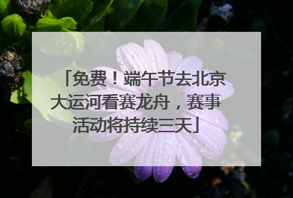 免费！端午节去北京大运河看赛龙舟，赛事活动将持续三天