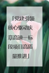 党建引领核心驱动庆章高速一标段项目高质量推进