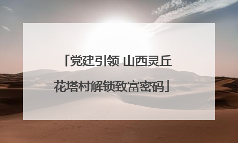 党建引领 山西灵丘花塔村解锁致富密码