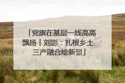 党旗在基层一线高高飘扬丨刘影：扎根乡土 三产融合绘新景