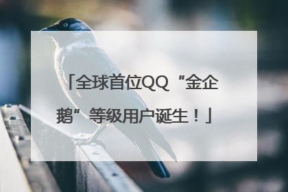 全球首位QQ“金企鹅”等级用户诞生！