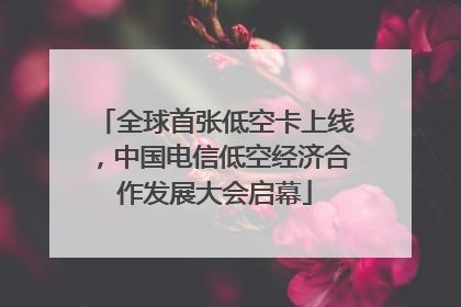 全球首张低空卡上线，中国电信低空经济合作发展大会启幕
