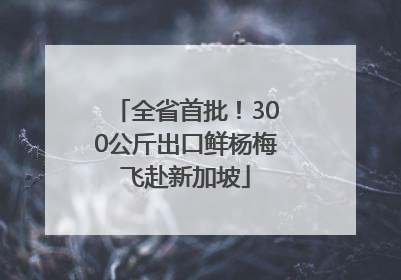 全省首批！300公斤出口鲜杨梅飞赴新加坡