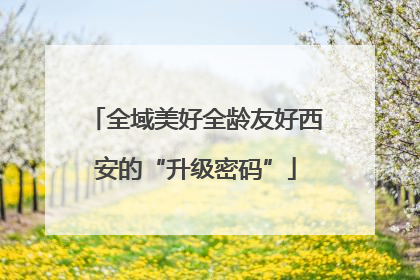 全域美好全龄友好西安的“升级密码”