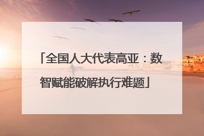 全国人大代表高亚：数智赋能破解执行难题