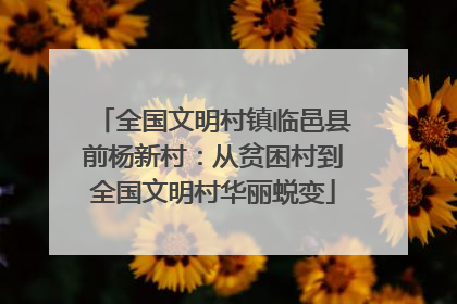全国文明村镇临邑县前杨新村：从贫困村到全国文明村华丽蜕变