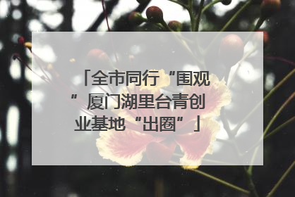 全市同行“围观”厦门湖里台青创业基地“出圈”