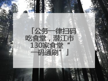 公务一律扫码吃食堂，潜江市130家食堂“一码通刷”