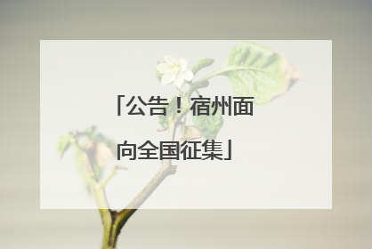 公告！宿州面向全国征集