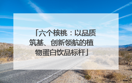 六个核桃：以品质筑基、创新领航的植物蛋白饮品标杆
