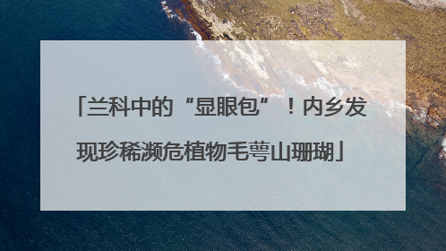 兰科中的“显眼包”！内乡发现珍稀濒危植物毛萼山珊瑚