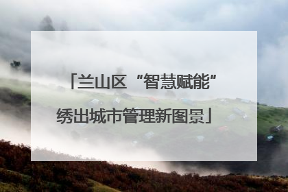 兰山区“智慧赋能”绣出城市管理新图景