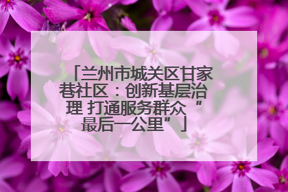兰州市城关区甘家巷社区：创新基层治理 打通服务群众“最后一公里”