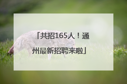 共招165人！通州最新招聘来啦