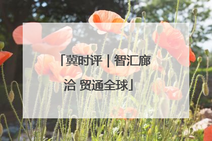 冀时评｜智汇廊洽 贸通全球