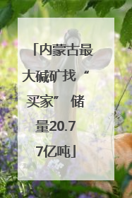 内蒙古最大碱矿找“买家” 储量20.77亿吨