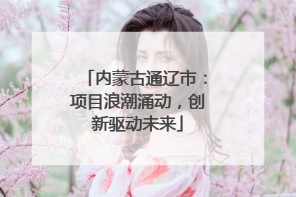 内蒙古通辽市：项目浪潮涌动，创新驱动未来