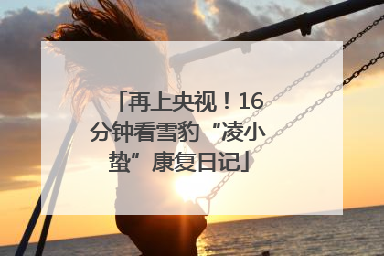 再上央视！16分钟看雪豹“凌小蛰”康复日记