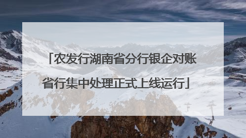 农发行湖南省分行银企对账省行集中处理正式上线运行