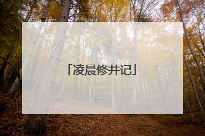 凌晨修井记