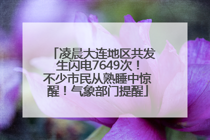 凌晨大连地区共发生闪电7649次！不少市民从熟睡中惊醒！气象部门提醒