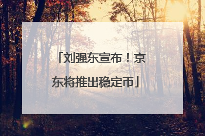 刘强东宣布！京东将推出稳定币