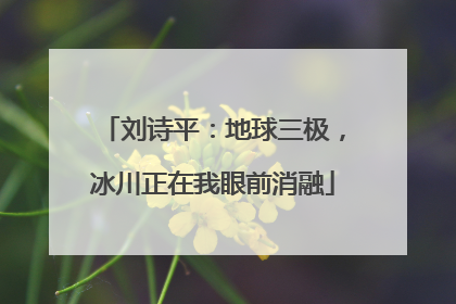 刘诗平：地球三极，冰川正在我眼前消融