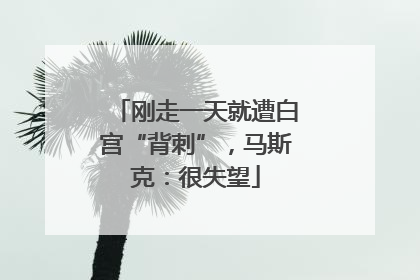 刚走一天就遭白宫“背刺”，马斯克：很失望