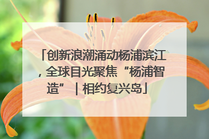创新浪潮涌动杨浦滨江，全球目光聚焦“杨浦智造”｜相约复兴岛