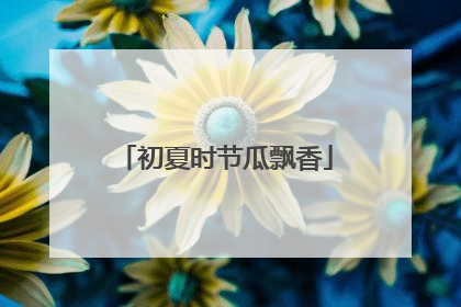 初夏时节瓜飘香