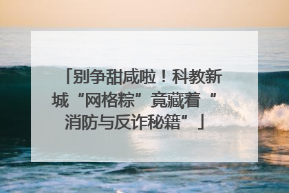别争甜咸啦！科教新城“网格粽”竟藏着“消防与反诈秘籍”