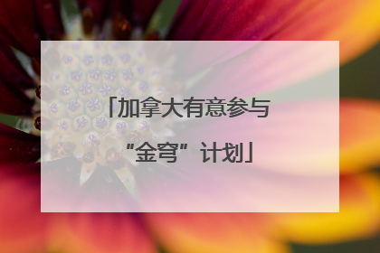 加拿大有意参与“金穹”计划