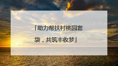 助力帮扶村桃园套袋，共筑丰收梦